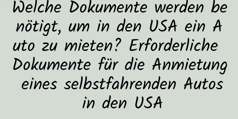 Welche Dokumente werden benötigt, um in den USA ein Auto zu mieten? Erforderliche Dokumente für die Anmietung eines selbstfahrenden Autos in den USA