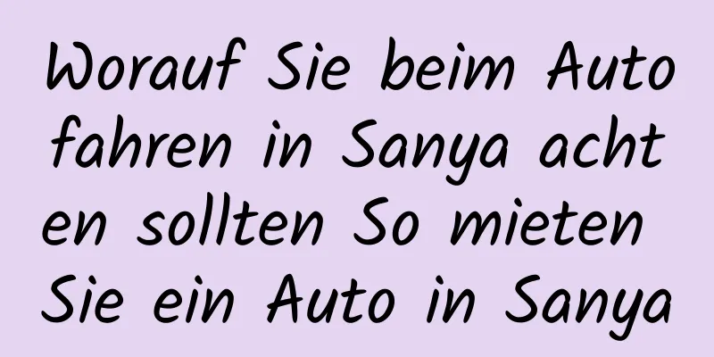 Worauf Sie beim Autofahren in Sanya achten sollten So mieten Sie ein Auto in Sanya