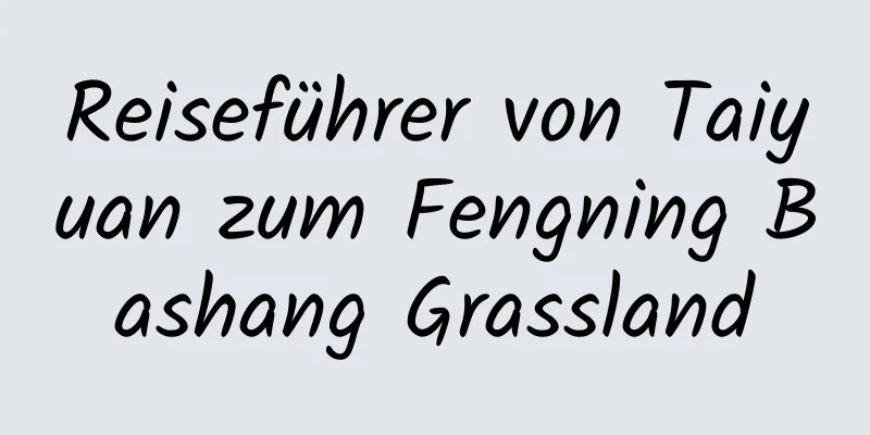 Reiseführer von Taiyuan zum Fengning Bashang Grassland