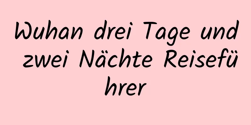 Wuhan drei Tage und zwei Nächte Reiseführer