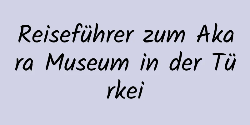 Reiseführer zum Akara Museum in der Türkei