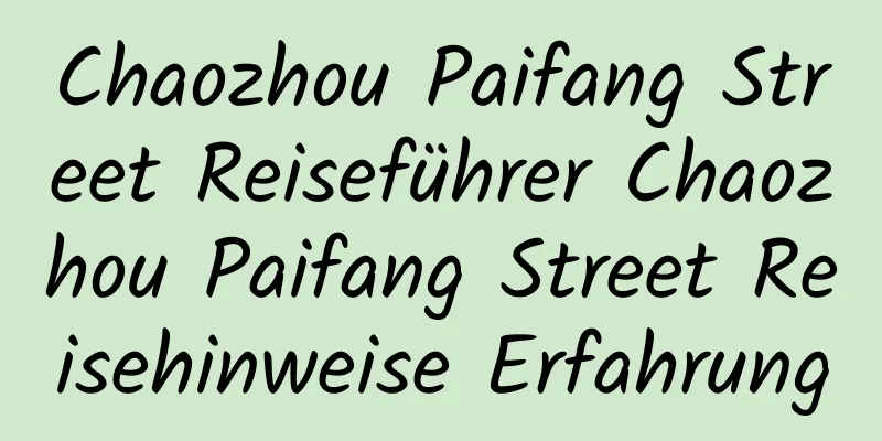 Chaozhou Paifang Street Reiseführer Chaozhou Paifang Street Reisehinweise Erfahrung