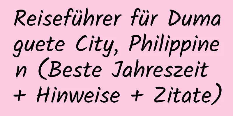 Reiseführer für Dumaguete City, Philippinen (Beste Jahreszeit + Hinweise + Zitate)