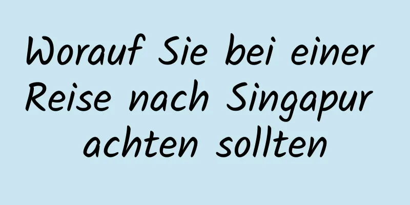 Worauf Sie bei einer Reise nach Singapur achten sollten