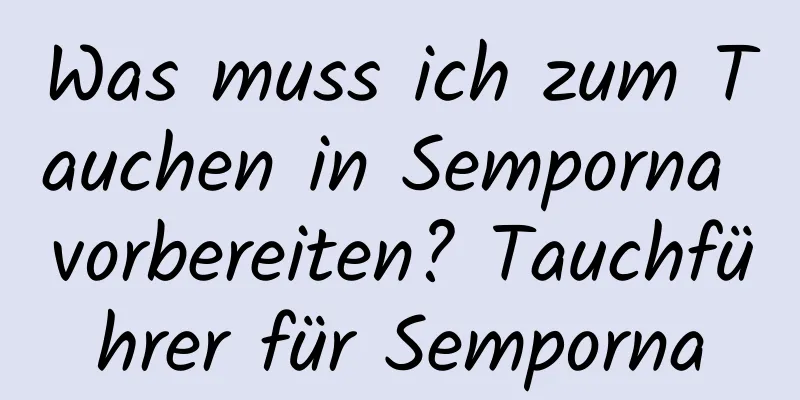 Was muss ich zum Tauchen in Semporna vorbereiten? Tauchführer für Semporna