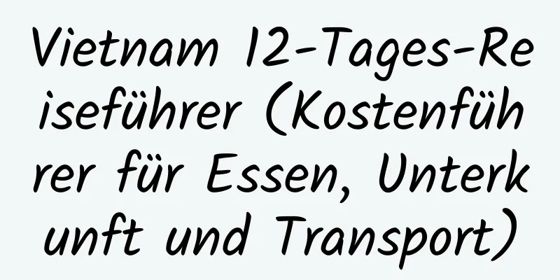 Vietnam 12-Tages-Reiseführer (Kostenführer für Essen, Unterkunft und Transport)