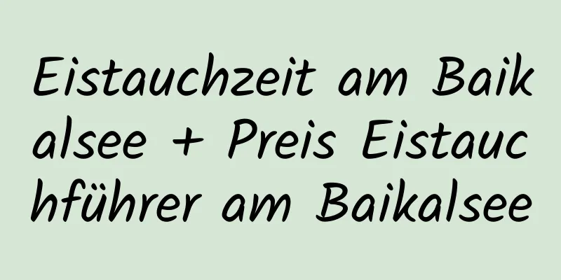 Eistauchzeit am Baikalsee + Preis Eistauchführer am Baikalsee