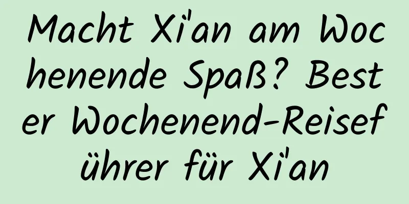 Macht Xi'an am Wochenende Spaß? Bester Wochenend-Reiseführer für Xi'an