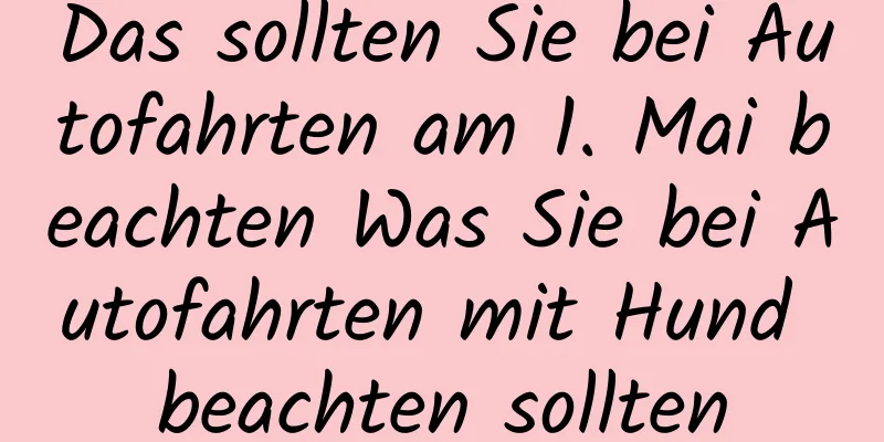 Das sollten Sie bei Autofahrten am 1. Mai beachten Was Sie bei Autofahrten mit Hund beachten sollten