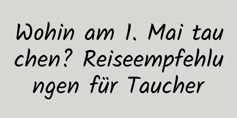 Wohin am 1. Mai tauchen? Reiseempfehlungen für Taucher