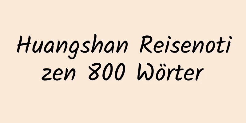 Huangshan Reisenotizen 800 Wörter