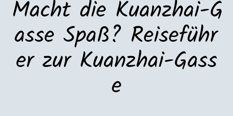 Macht die Kuanzhai-Gasse Spaß? Reiseführer zur Kuanzhai-Gasse