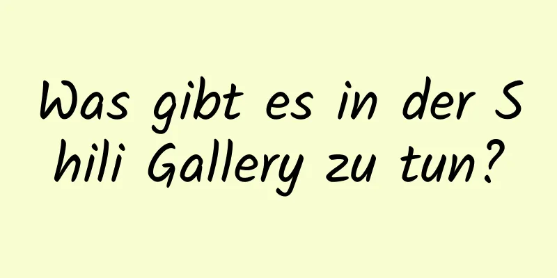 Was gibt es in der Shili Gallery zu tun?