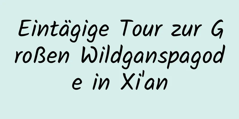 Eintägige Tour zur Großen Wildganspagode in Xi'an