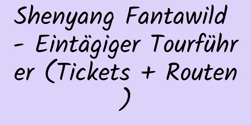 Shenyang Fantawild - Eintägiger Tourführer (Tickets + Routen)