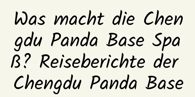 Was macht die Chengdu Panda Base Spaß? Reiseberichte der Chengdu Panda Base