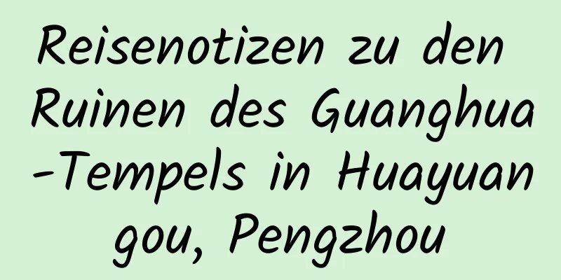 Reisenotizen zu den Ruinen des Guanghua-Tempels in Huayuangou, Pengzhou