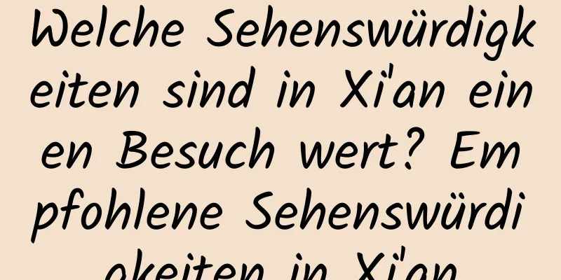 Welche Sehenswürdigkeiten sind in Xi'an einen Besuch wert? Empfohlene Sehenswürdigkeiten in Xi'an