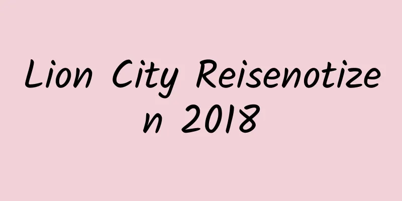 Lion City Reisenotizen 2018