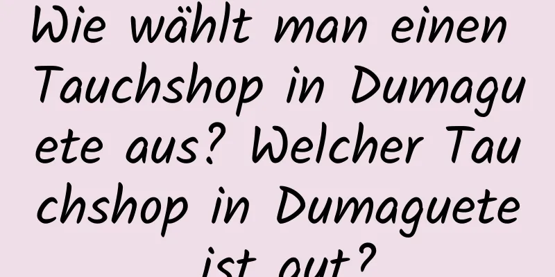 Wie wählt man einen Tauchshop in Dumaguete aus? Welcher Tauchshop in Dumaguete ist gut?