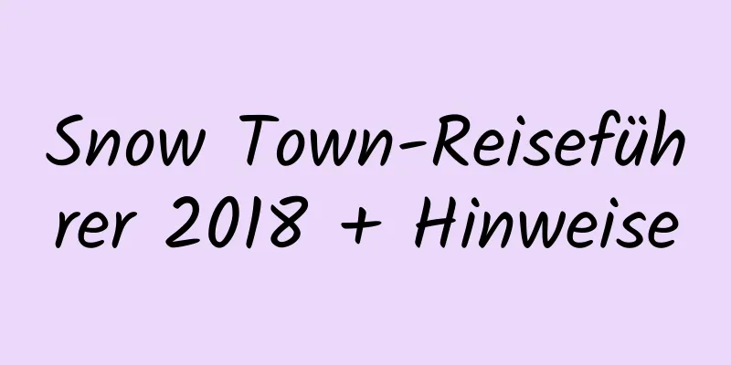 Snow Town-Reiseführer 2018 + Hinweise