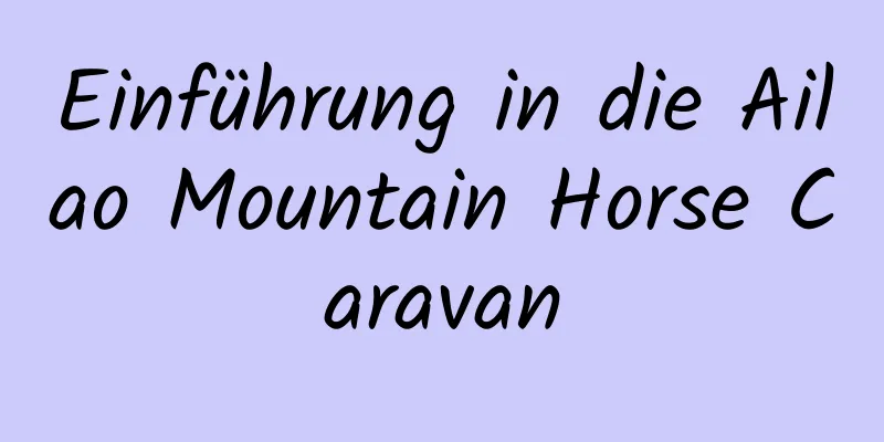 Einführung in die Ailao Mountain Horse Caravan