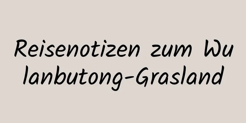 Reisenotizen zum Wulanbutong-Grasland