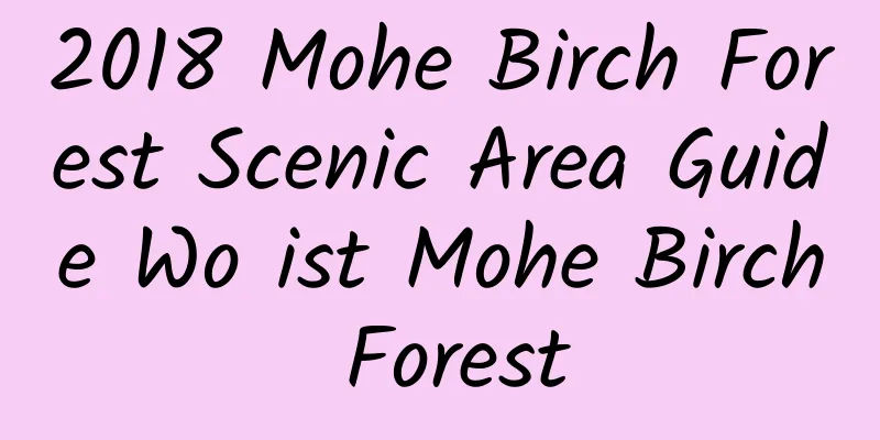 2018 Mohe Birch Forest Scenic Area Guide Wo ist Mohe Birch Forest