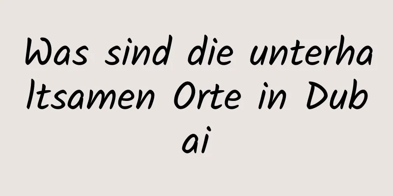 Was sind die unterhaltsamen Orte in Dubai