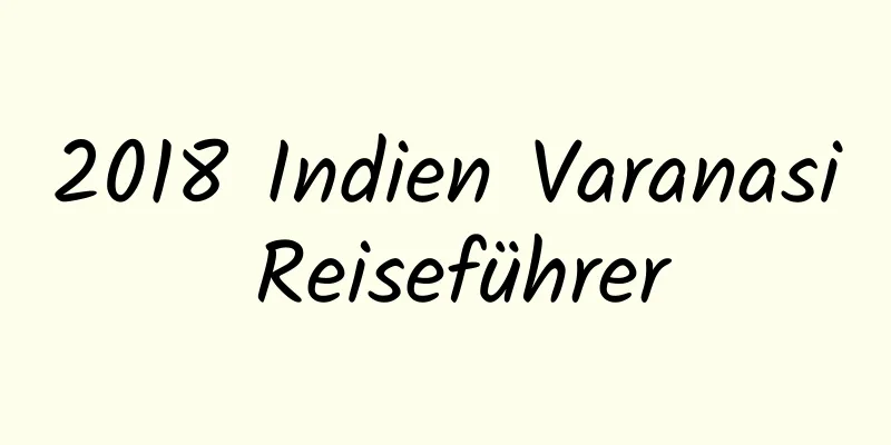 2018 Indien Varanasi Reiseführer