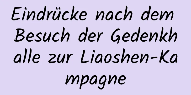 Eindrücke nach dem Besuch der Gedenkhalle zur Liaoshen-Kampagne