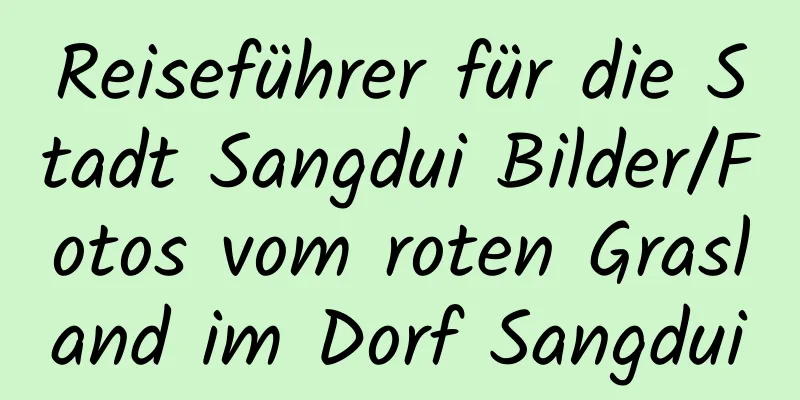 Reiseführer für die Stadt Sangdui Bilder/Fotos vom roten Grasland im Dorf Sangdui