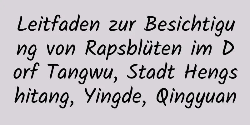 Leitfaden zur Besichtigung von Rapsblüten im Dorf Tangwu, Stadt Hengshitang, Yingde, Qingyuan