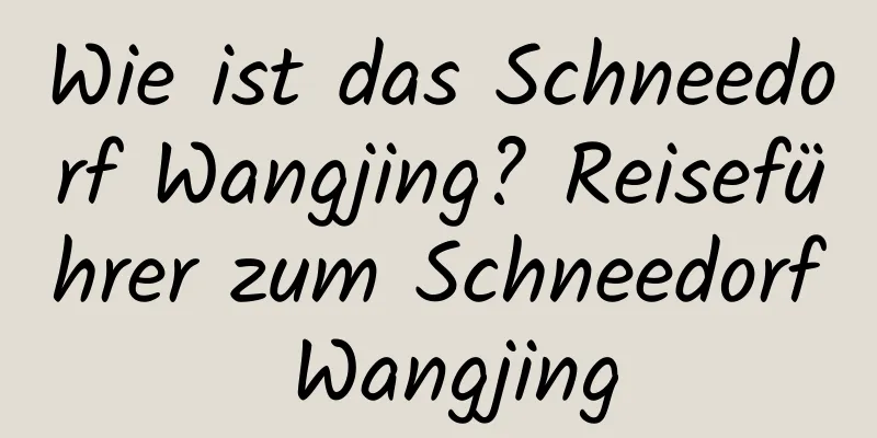 Wie ist das Schneedorf Wangjing? Reiseführer zum Schneedorf Wangjing