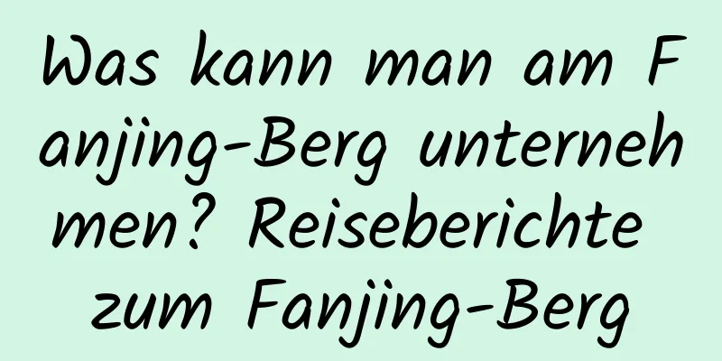 Was kann man am Fanjing-Berg unternehmen? Reiseberichte zum Fanjing-Berg