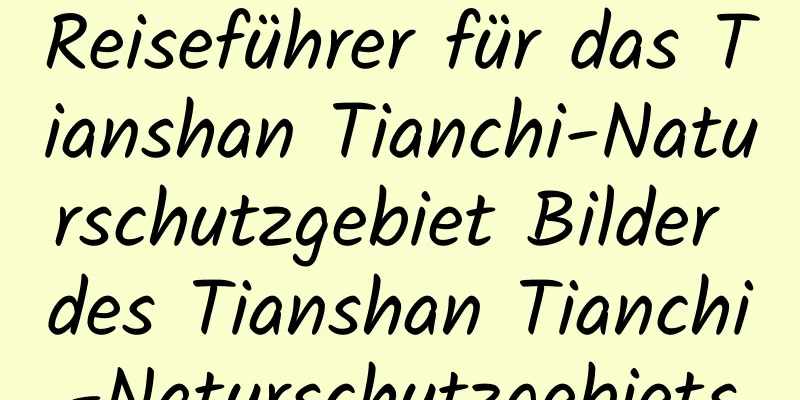 Reiseführer für das Tianshan Tianchi-Naturschutzgebiet Bilder des Tianshan Tianchi-Naturschutzgebiets