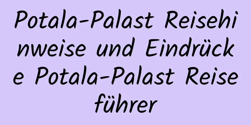 Potala-Palast Reisehinweise und Eindrücke Potala-Palast Reiseführer