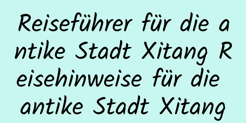 Reiseführer für die antike Stadt Xitang Reisehinweise für die antike Stadt Xitang