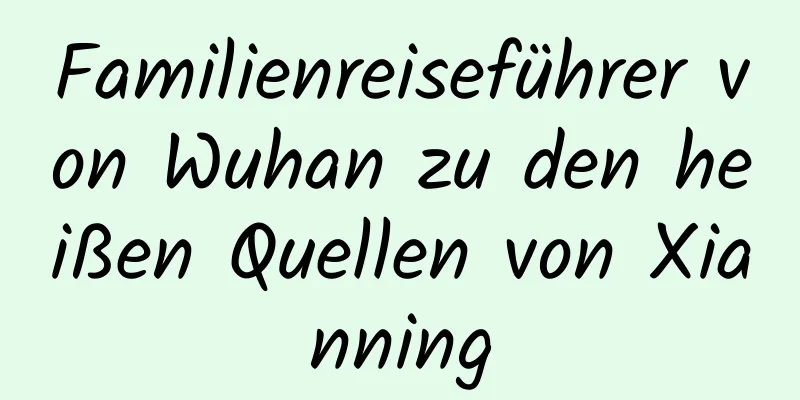 Familienreiseführer von Wuhan zu den heißen Quellen von Xianning