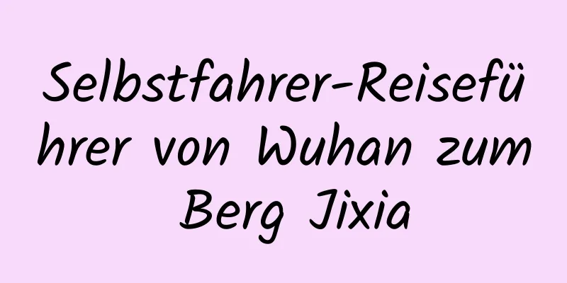 Selbstfahrer-Reiseführer von Wuhan zum Berg Jixia