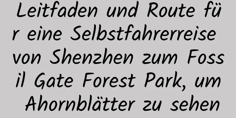 Leitfaden und Route für eine Selbstfahrerreise von Shenzhen zum Fossil Gate Forest Park, um Ahornblätter zu sehen