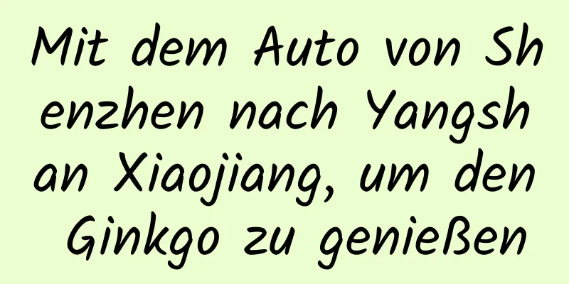 Mit dem Auto von Shenzhen nach Yangshan Xiaojiang, um den Ginkgo zu genießen