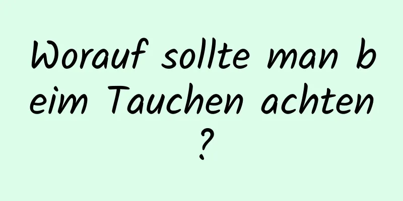 Worauf sollte man beim Tauchen achten?