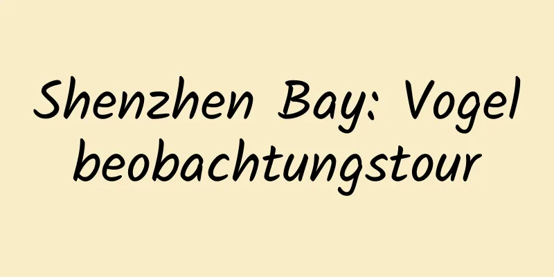 Shenzhen Bay: Vogelbeobachtungstour