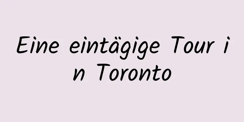 Eine eintägige Tour in Toronto