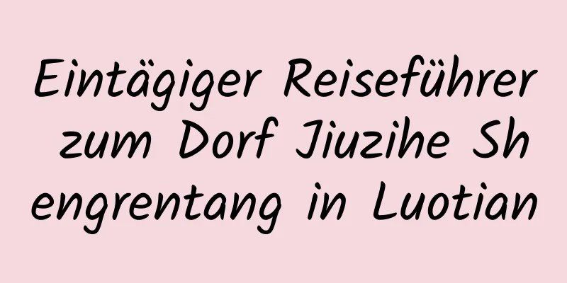 Eintägiger Reiseführer zum Dorf Jiuzihe Shengrentang in Luotian