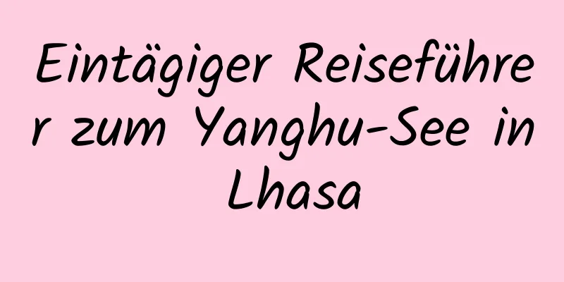 Eintägiger Reiseführer zum Yanghu-See in Lhasa