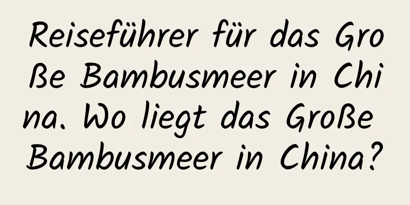 Reiseführer für das Große Bambusmeer in China. Wo liegt das Große Bambusmeer in China?