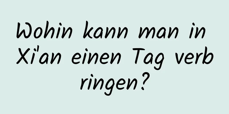 Wohin kann man in Xi'an einen Tag verbringen?