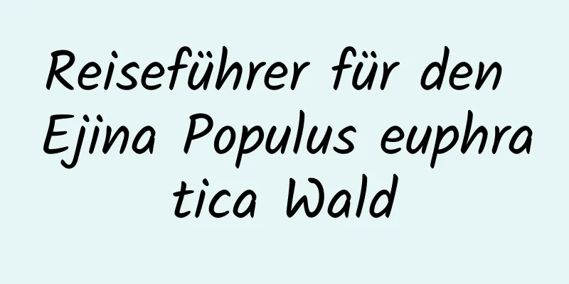 Reiseführer für den Ejina Populus euphratica Wald